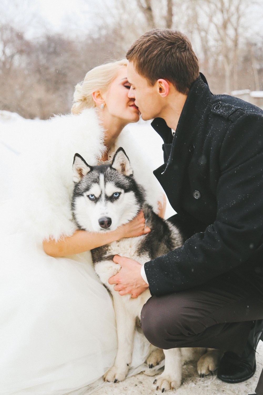 Зимняя свадебная фотосессия с собакой